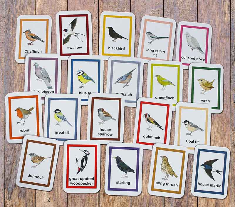 Garden Bird Flash Cards