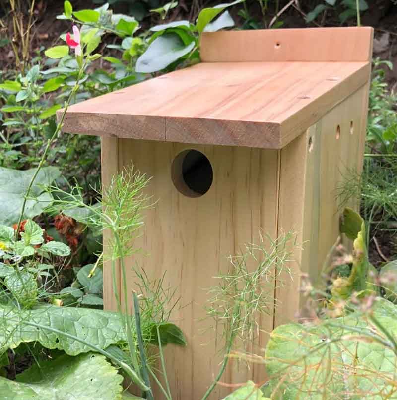 Build A Bird Box