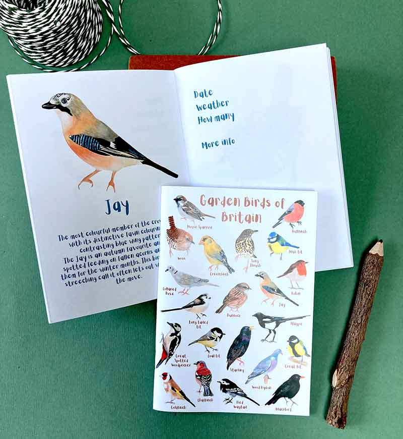 Garden Birds Journal