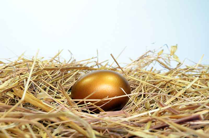 Golden Egg