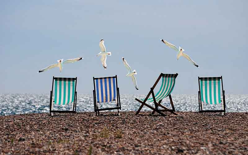 Gulls Flying Over Deckchairs