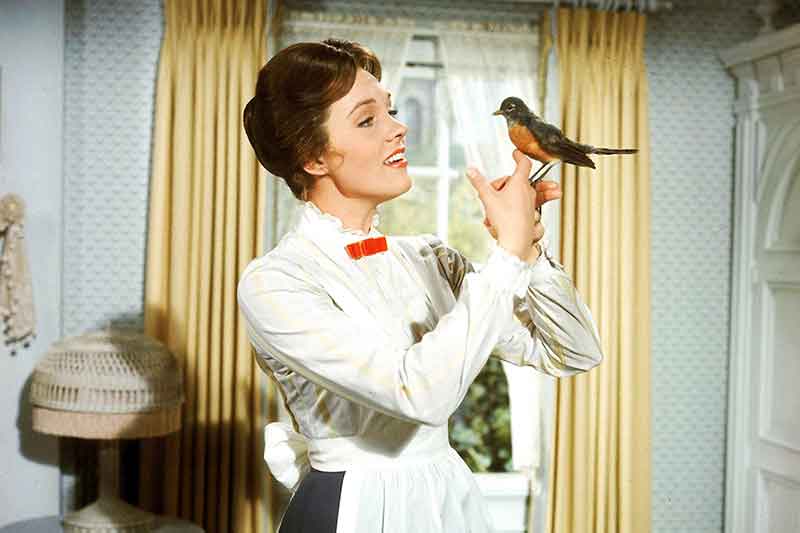 Mary Poppins American Robin