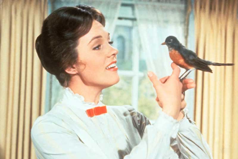Mary Poppins With An American Robin