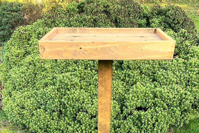 Open bird table