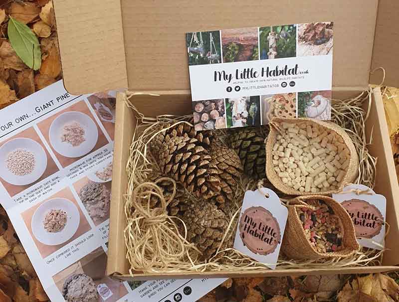 Pine Cone Feeder Activity Set