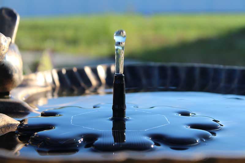 Solar Powered Fountain